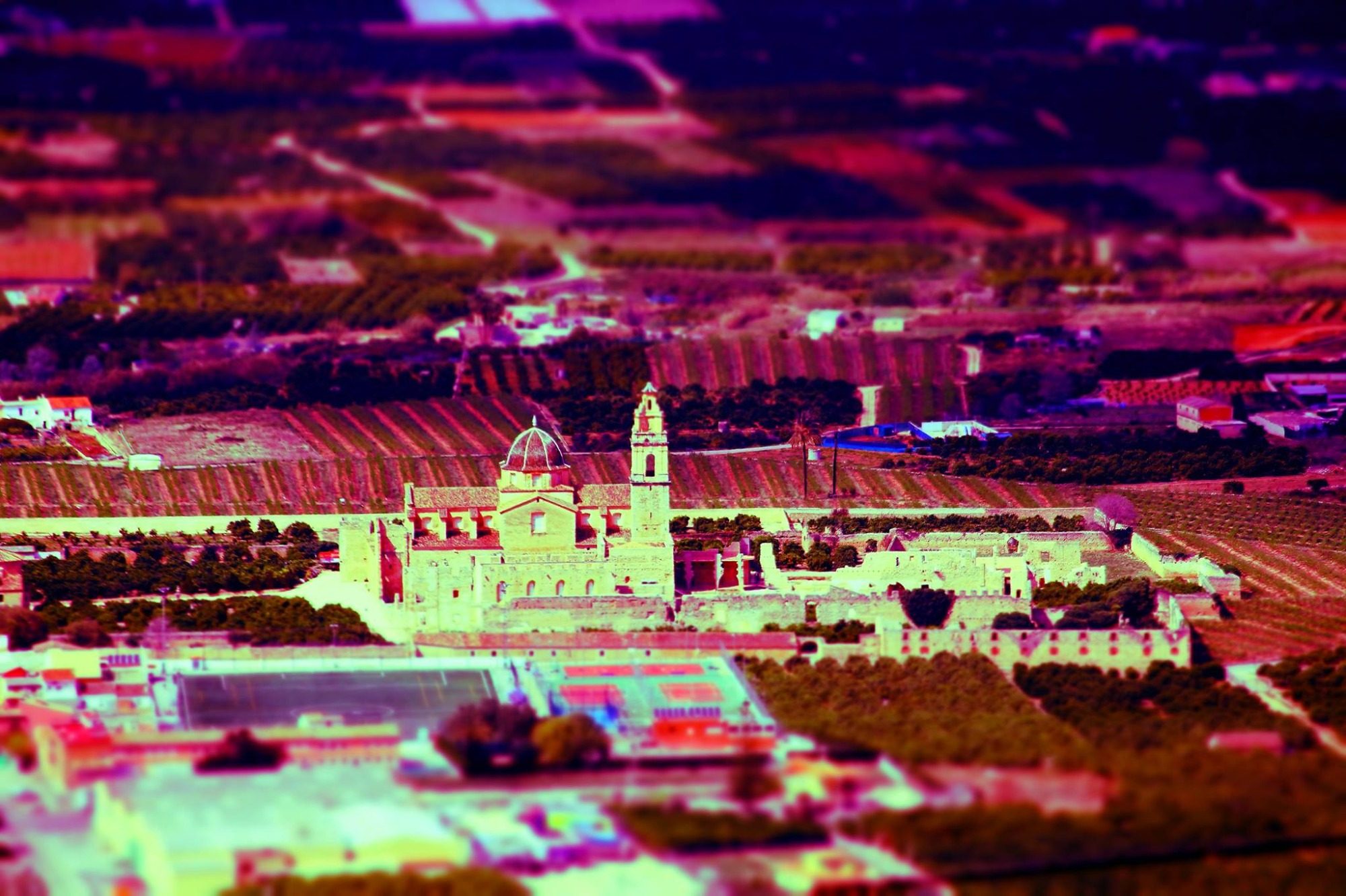 Miniatura, fotografía de Agustín Espinosa