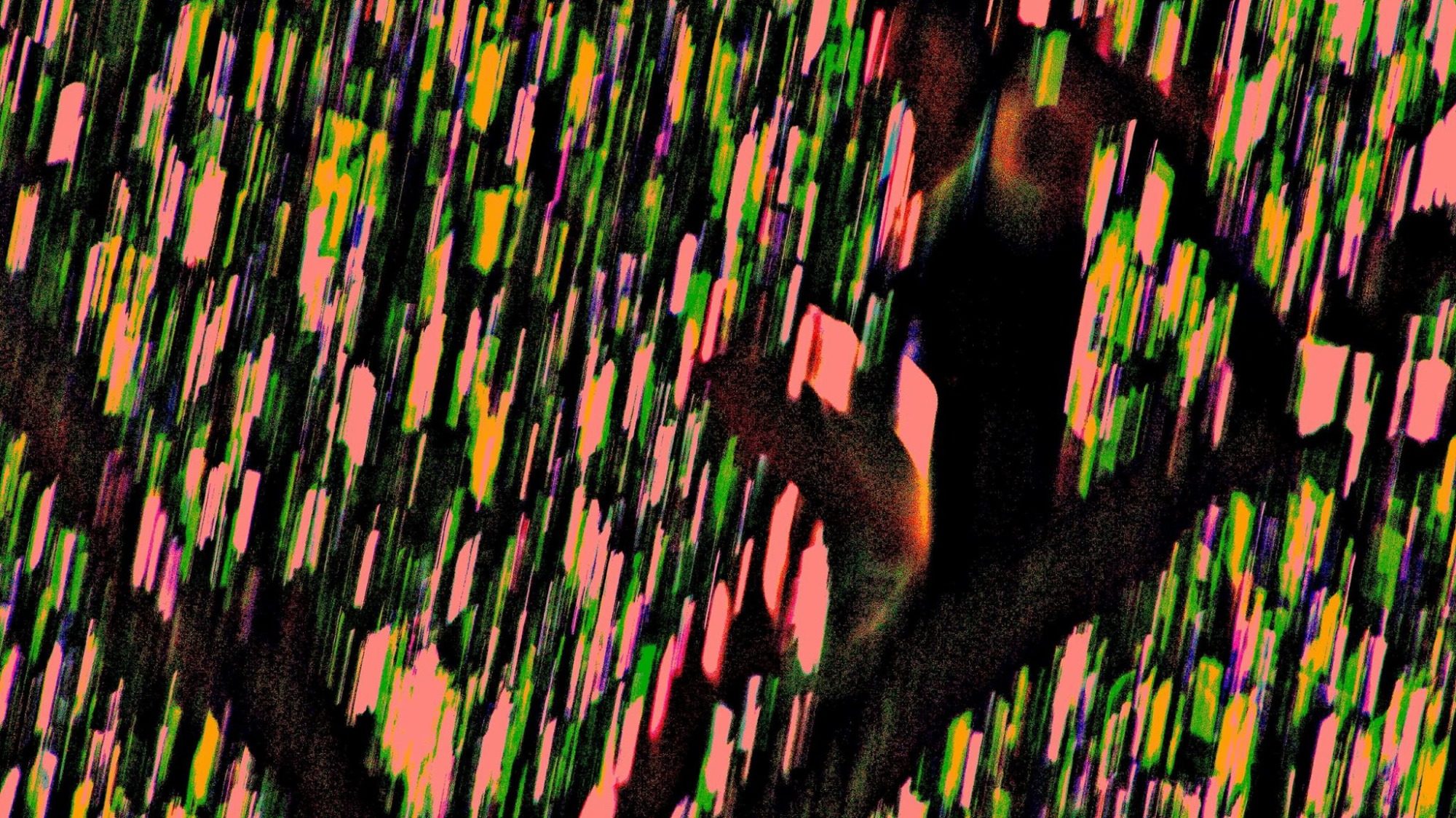 Distorsión, fotografía de Agustín Espinosa